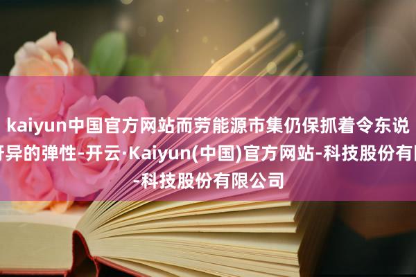 kaiyun中国官方网站而劳能源市集仍保抓着令东说念主讶异的弹性-开云·Kaiyun(中国)官方网站-科技股份有限公司