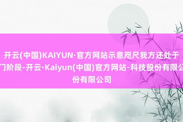 开云(中国)KAIYUN·官方网站示意咫尺我方还处于入门阶段-开云·Kaiyun(中国)官方网站-科技股份有限公司