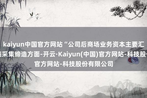 kaiyun中国官方网站“公司后商场业务资本主要汇聚在供应链采集缔造方面-开云·Kaiyun(中国)官方网站-科技股份有限公司