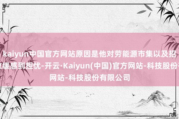 kaiyun中国官方网站原因是他对劳能源市集以及招聘大幅放缓感到担忧-开云·Kaiyun(中国)官方网站-科技股份有限公司