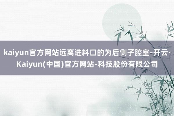 kaiyun官方网站远离进料口的为后侧子腔室-开云·Kaiyun(中国)官方网站-科技股份有限公司